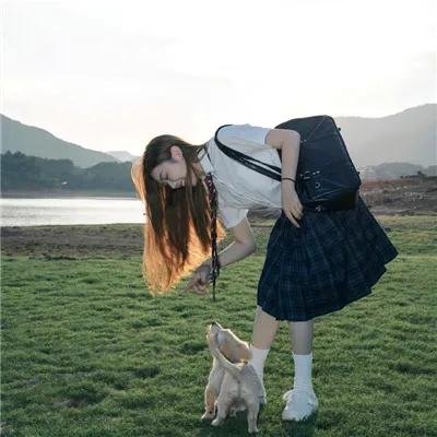 机械狗K-9与同伴